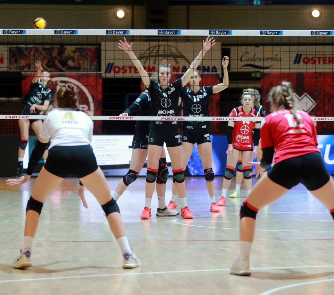 Bayer Volleys Volleyball